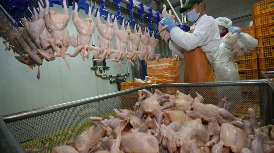 Zeci de tone de carne de pasăre din import, depistate cu salmonella. Au ajuns pe rafturile magazinelor? Răspunsul ANSA