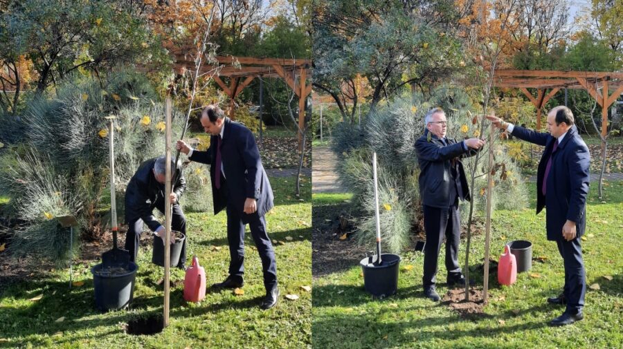 FOTO Țulea și-a adus aminte de independența Republicii Moldova. A plantat un copac la Budapesta. Cine l-a ajutat