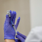 Campanie de vaccinare a vulpilor: 100 de mii de momeli antirabice vor fi distribuite în această toamnă