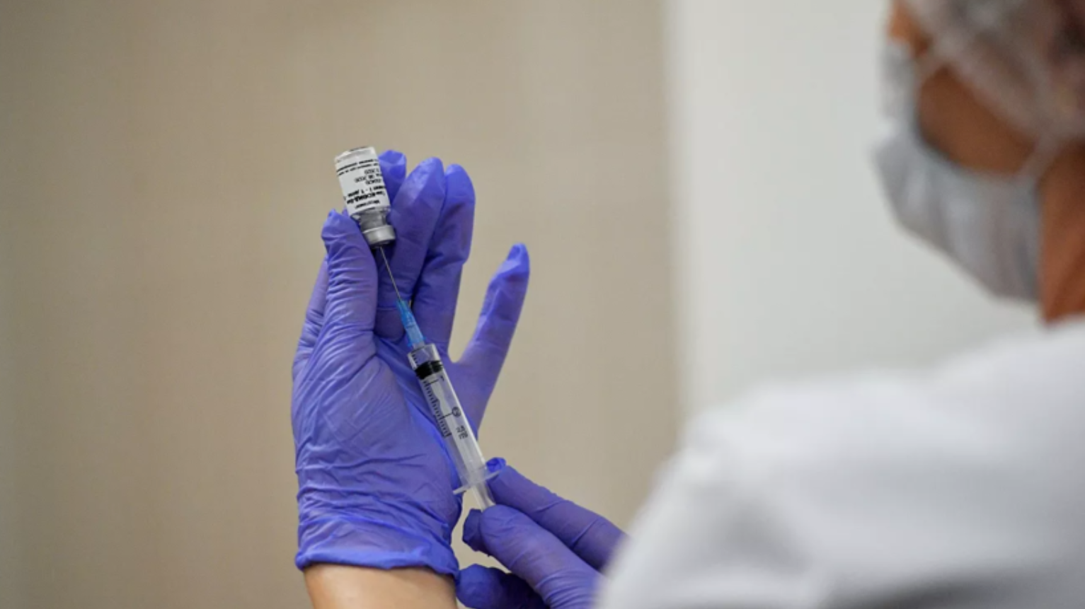 Campanie de vaccinare a vulpilor: 100 de mii de momeli antirabice vor fi distribuite în această toamnă