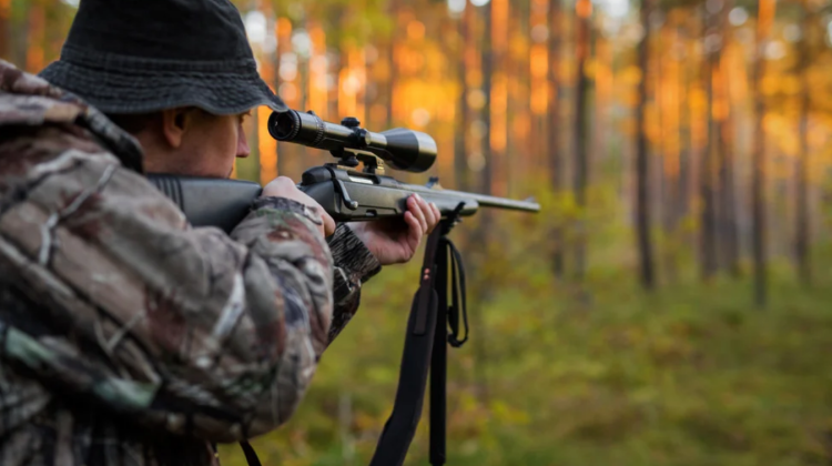 START sezonului de vânătoare! Reguli pe care trebuie să le cunoască deținătorii de arme