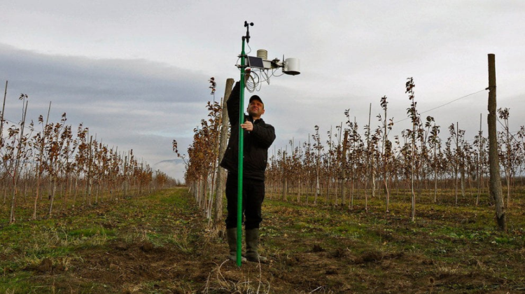 Veste bună! Producătorii agricoli vor avea la dispoziție prima platformă performantă de meteo în agricultură