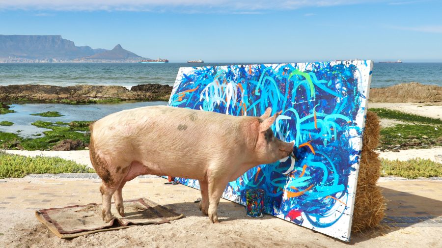 GALERIE FOTO Incredibil! Un tablou pictat de un porc s-a vândut cu 20 de mii de lire sterline. Vezi imagini cu Pigcasso