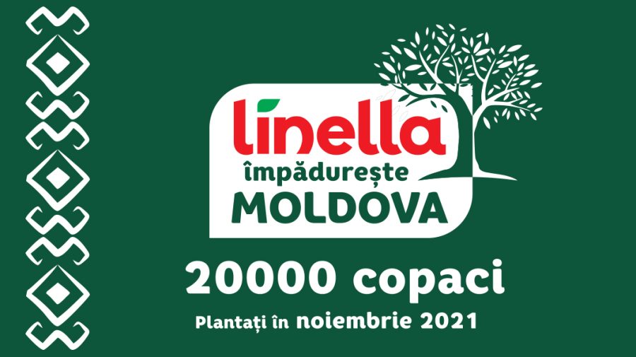 Linella împădurește Moldova cu 20 000 de copaci