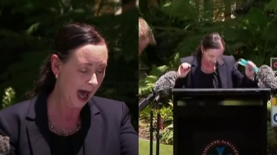 VIDEO „Să mă anunţaţi când mi se urcă pe față”. Un oficial australian, filmat cu un păianjen uriaș pe picior