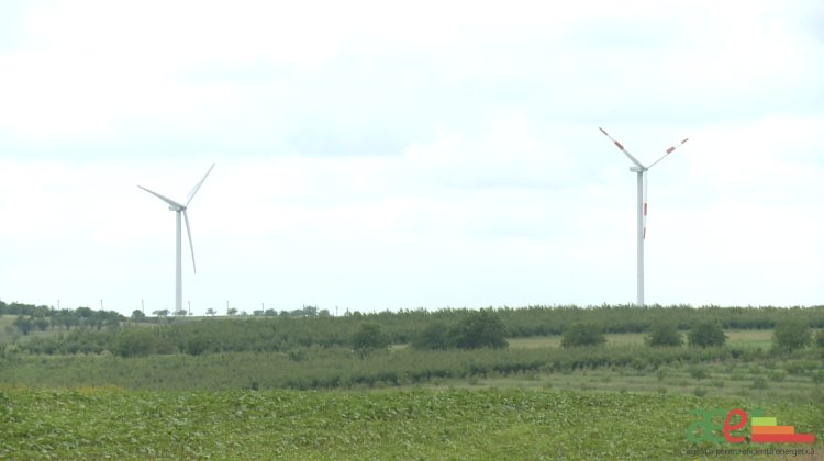 VIDEO Industria energiei eoliene ia amploare tot mai mare în țară! Satul Vărzărești, un alt exemplu de succes