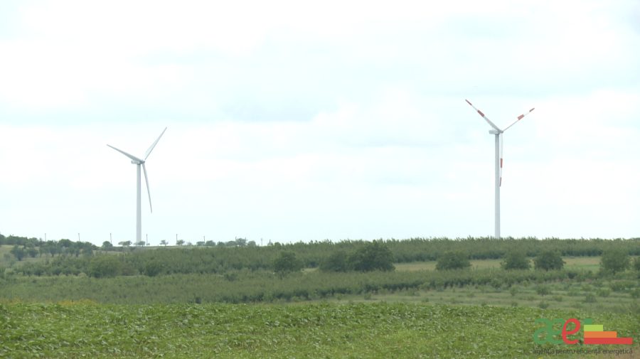 VIDEO Industria energiei eoliene ia amploare tot mai mare în țară! Satul Vărzărești, un alt exemplu de succes