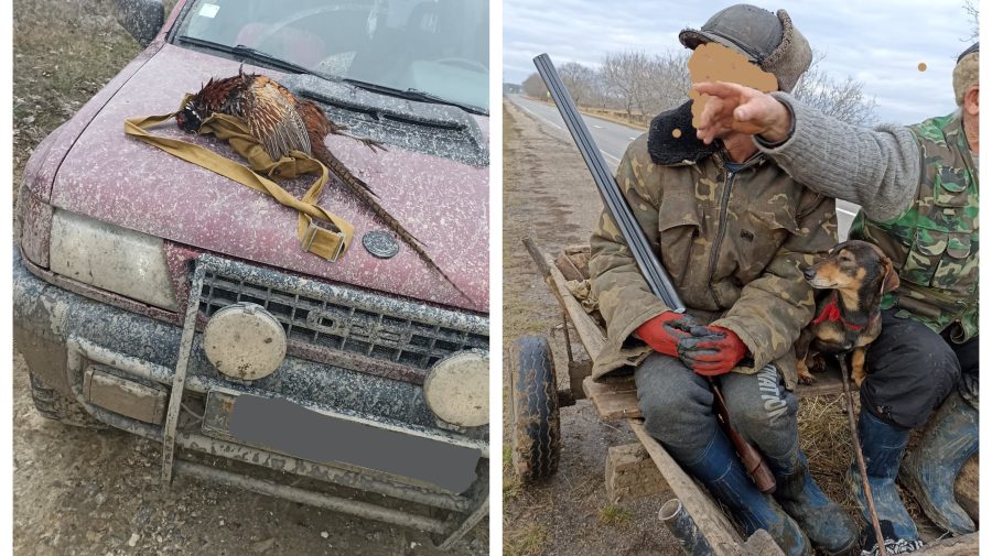 FOTO Doi vânători din raionul Cahul, depistați și sancționați de inspectori. Ce au făcut