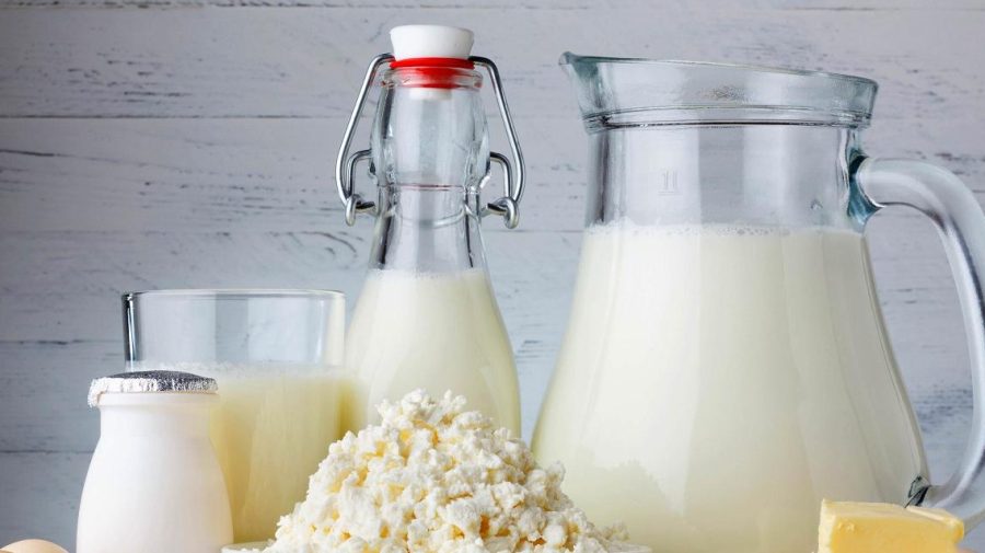 A fost aprobat primul export de lactate din Republica Moldova în Uniunea Europeană