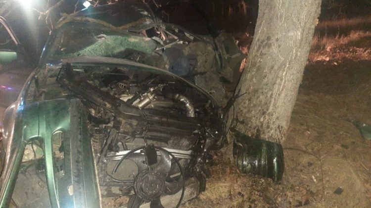 FOTO Accident mortal la Edineț. Un tânăr de 18 ani a decedat după ce s-a izbit într-un copac