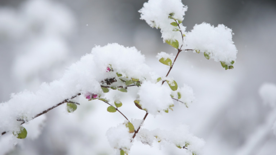 Iarna se lasă așteptată sau dă semne de viață? Ce temperaturi se vor înregistra în următoarele zile