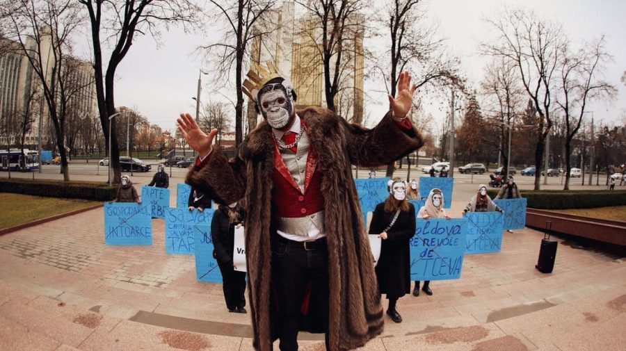 FOTO Maimuțele promit – cer o altfel de politică. Mai mulți tineri mascați au protestat în fața Parlamentului