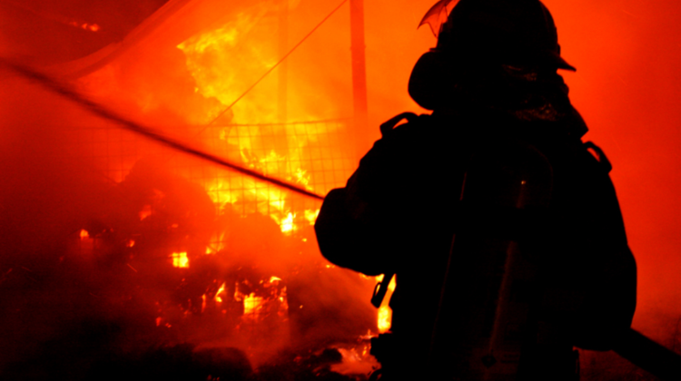 VIDEO Incendiu puternic în zona de frontieră! Flăcările au „înghițit” 100 hectare de teren