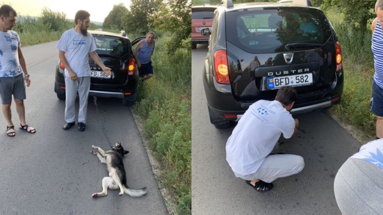 AMIN! Preotul Valuța, cel care a legat un câine de mașină și l-a târât pe asfalt, dat afară de Mitropolia Moldovei