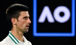 Djokovic sparge tăcerea! Ce riscă sportivul după ce a încălcat regulile de izolare
