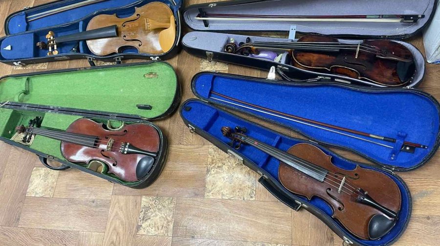 Le-a ascuns de ochii vameșilor! Patru viori nedeclarate, confiscate la vama Leușeni