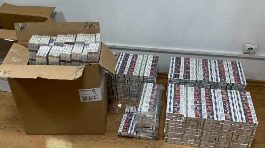 FOTO Câinele grănicer Daiana- groaza contrabandiștilor de țigări! Peste 2 mii de pachete, găsite într-un autocar