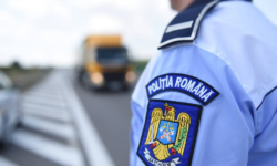 S-a ales cu dosar penal! Un șofer moldovean, prins într-o comună din România cu permis fals
