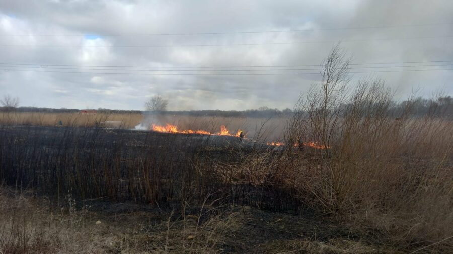 FOTO ALERTĂ în zona de frontieră! Pompierii și locuitorii au intervenit la stingerea unui incendiu