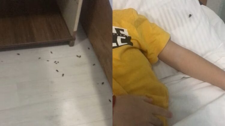 VIDEO Gândaci, alături de copiii pacienți. Situație dezolantă cum insectele mișună la Spitalul de copii din Bălți
