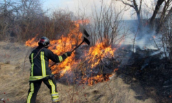 Sute de hectare de teren, „înghițite” de flăcări. Au fost identificate persoanele vinovate de incendii