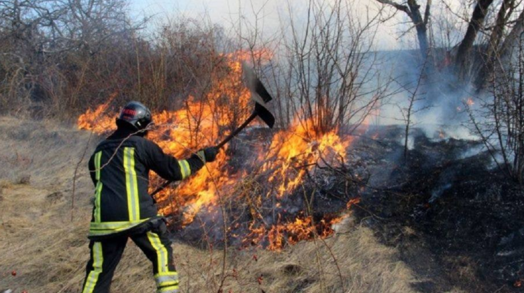 Sute de hectare de teren, „înghițite” de flăcări. Au fost identificate persoanele vinovate de incendii