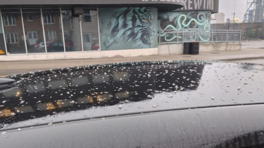 Într-un oraș din Canada a nins cu soia. Care este explicația fenomenului