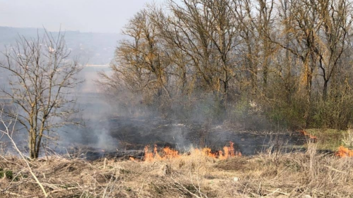 Moldovenii, în vizorul poliției și inspectorilor de mediu. Au fost amendați pentru că au dat foc vegetației uscate