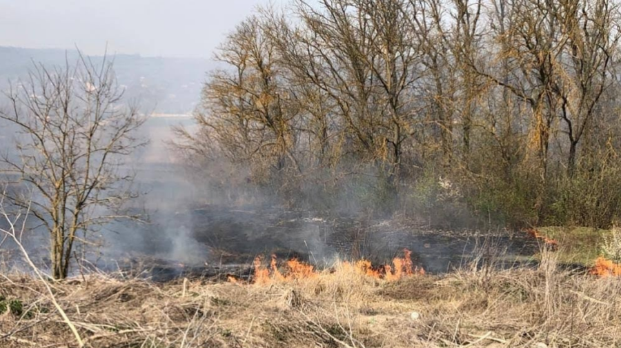 Silvicutorii din Moldova, îngrijorați! De ce nu trebuie incendiată vegetația uscată