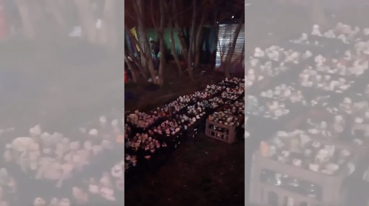 FOTO, VIDEO Civilii ucraineni, teroarea rușilor! La Odesa, oamenii și-au pregătit mii de cocktailuri Molotov