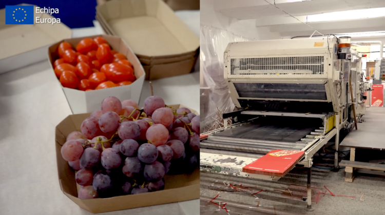 VIDEO Cine este și unde se află singurul antreprenor din Moldova care produce caserole ecologice și reciclabile