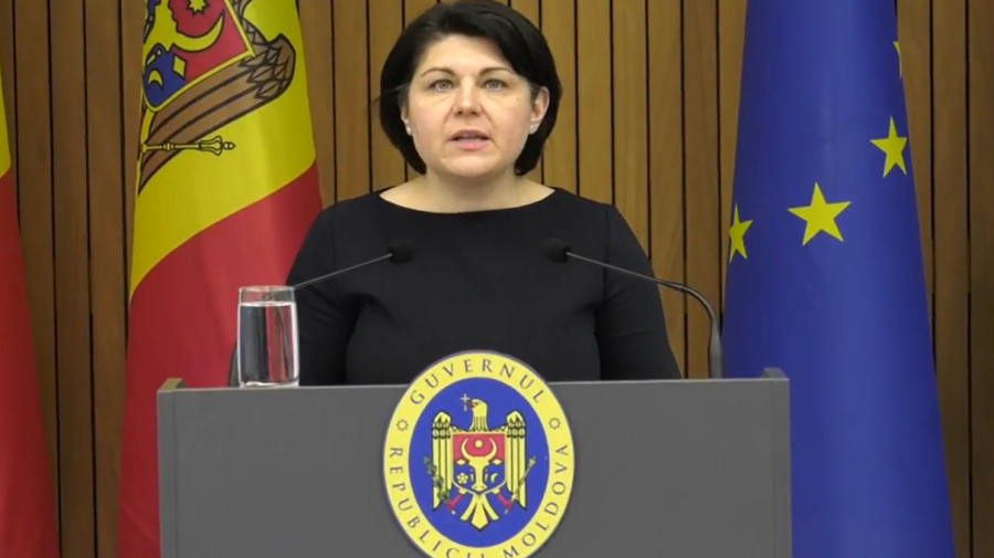 VIDEO Porumbul nu va putea fi exportat, iar refugiații ucraineni nu vor achita vinieta. Ultimele decizii ale CSE
