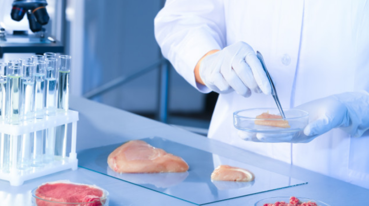 Carne crescută în laborator și burgeri cu insecte! Alimentele viitorului, mai aproape decât crezi
