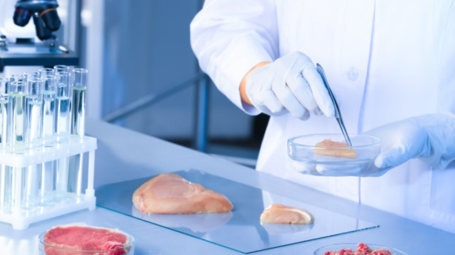 Carne crescută în laborator și burgeri cu insecte! Alimentele viitorului, mai aproape decât crezi