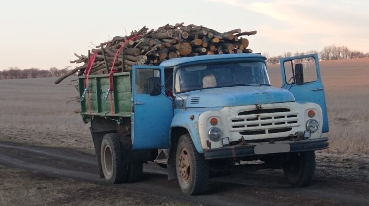 Un bărbat din Cimișlia, prins cu masă lemnoasă! S-a ales cu proces verbal și amendă