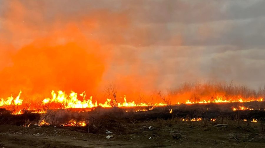 FOTO Un incendiu de vegetație a cuprins un teren din apropierea străzii Petricani. Pompierii – la fața locului