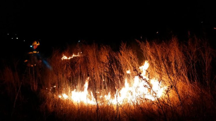FOTO Zeci de focare de vegetație uscată, nimicite de flăcări! Pompierii au intervenit la Căușeni, Cahul, Anenii Noi