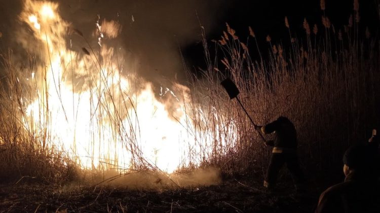 FOTO, VIDEO Rezervația Prutul de Jos, cuprinsă de flăcări! Pompierii au intervenit cu șapte autospeciale