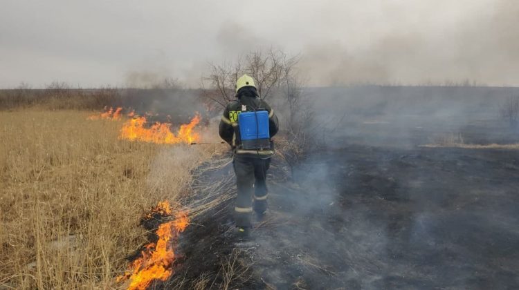 GALERIE FOTO Peste 160 de ha de vegetație, mistuite de foc în ultimele 24 de ore. Pompierii au intervenit prompt
