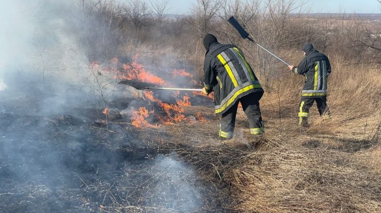 FOTO Peste 10 hectare de iarbă uscată, mistuite de foc. Pompierii au intervenit prompt