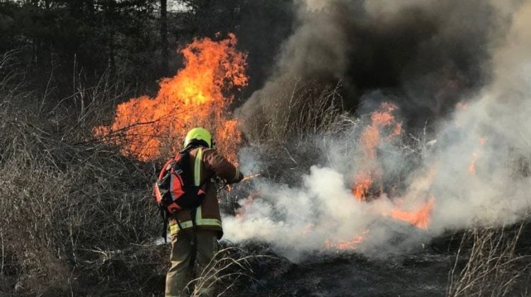 Peste o mie de hectare de vegetație uscată au fost mistuite de flăcări în ultimele 24 de ore. Regiunile afectate