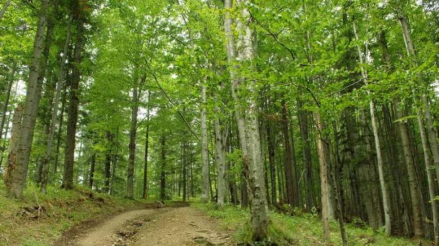 Vom avea al doilea Parc Național! Cuprinde localitățile din două raioane și patru din stânga Nistrului