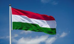 Veste bună pentru transportatoti! ANTA a primit cota suplimentară de autorizații acordată de Ungaria