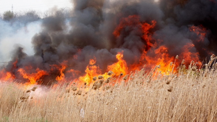 Cine se joacă cu focul – plătește! Ce amenzi pot înhăța persoanele care incendiază vegetația uscată