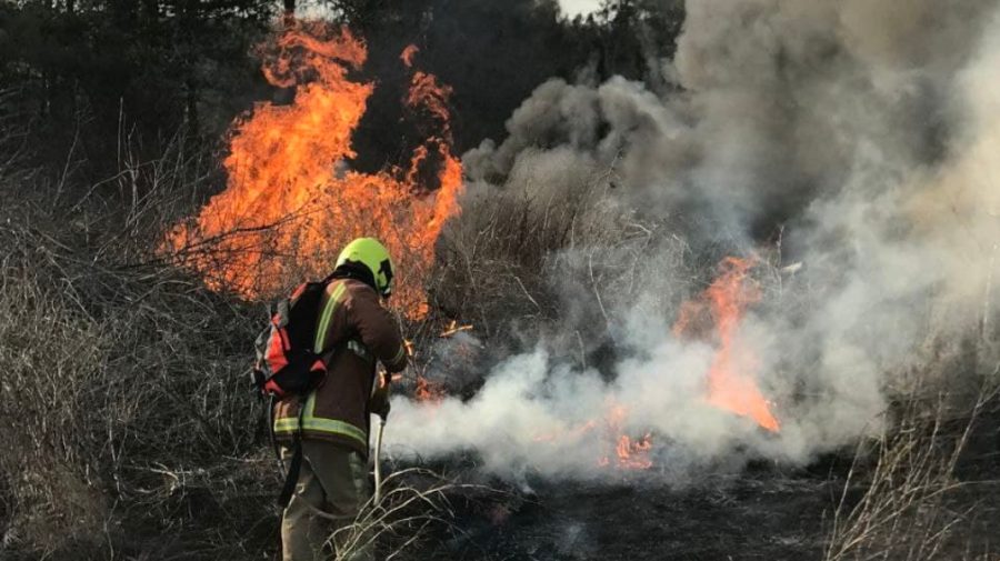 FOTO Record de incendii de vegetații în 24 de ore. Pompierii au stins 250 ha. Au fost implicate și gărzile de rezervă