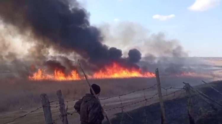 VIDEO Au ars ca o torță. Circa o sută de ha de teren din Rezervația Naturală ,,Moara Domnească”, distruse de incendiu
