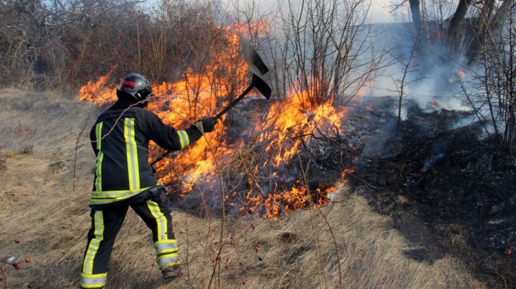 VIDEO, FOTO Tot mai multe incendii de vegetație. În 24 de ore pompierii au intervenit în peste 300 de cazuri