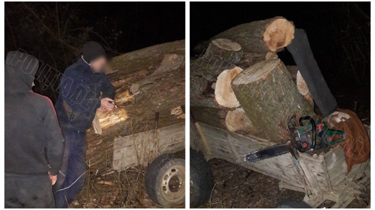 FOTO Credeau că nu-i vede nimeni! Trei indivizi – prinși în timp ce transportau lemne furate