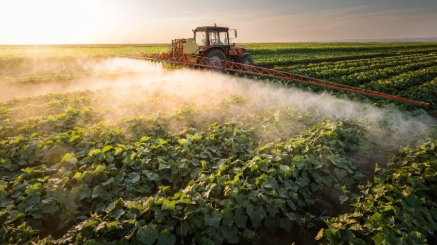 Pesticide în exces, utilizate în agricultură. Norma admisibilă în Moldova este depășită de cel puțin trei ori