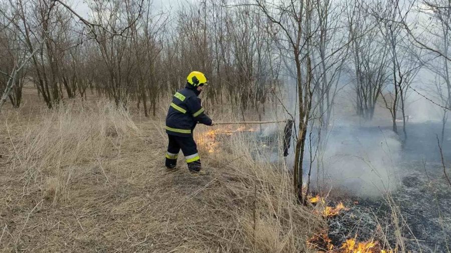 Peste 300 de hectare, cuprinse de flăcări. Pompierii au stins 76 de incendii de vegetație timp de 24 de ore